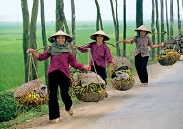 Vietnam Hailed One of the World’s 25 Best Countries to Visit in 2015