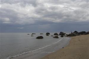 Vietnam plans for a marine reservation system till 2020 Vietnam plans for a marine reservation system till 2020