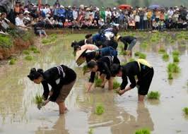 Vietnamese Government Officially Names Long Tong Festival an Intangible Cultural Heritage