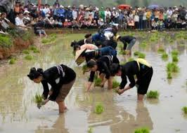 Vietnamese Government Officially Names Long Tong Festival an Intangible Cultural Heritage Vietnamese Government Officially Names Long Tong Festival an Intangible Cultural Heritage