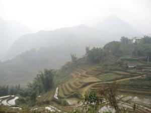 VNAT leads terraced rice field tour revamp