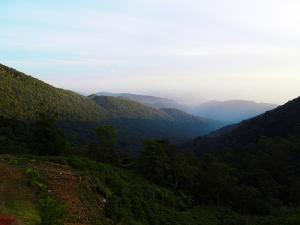 Tam Dao National Park